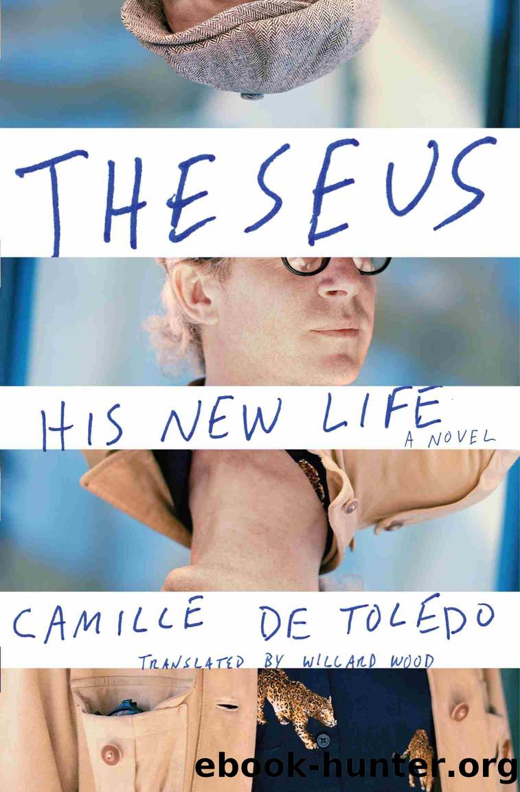 Theseus, His New Life by Camille de Toledo
