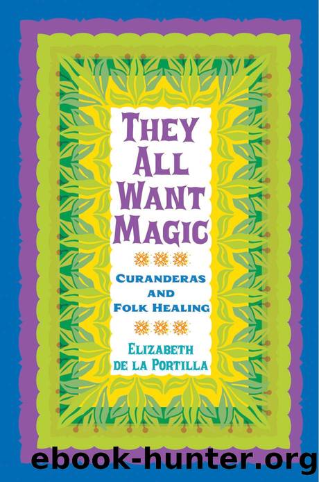 They All Want Magic : Curanderas and Folk Healing by Elizabeth De La Portilla