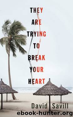 They are Trying to Break Your Heart by David Savill