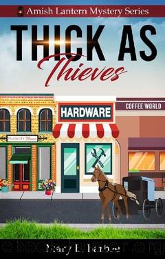 Thick as Thieves (Amish Lantern Mystery Series Book 1) by Mary Barbee