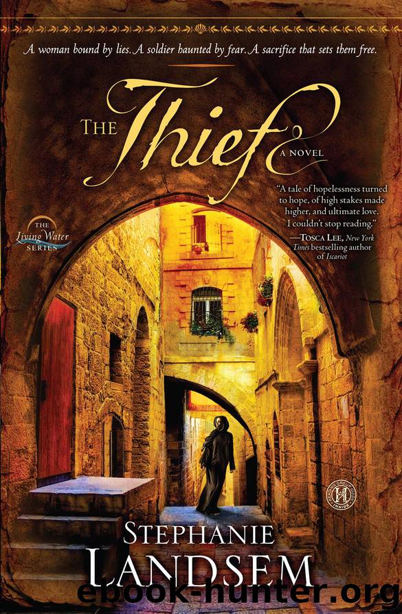 Thief (9781451689112) by Landsem Stephanie