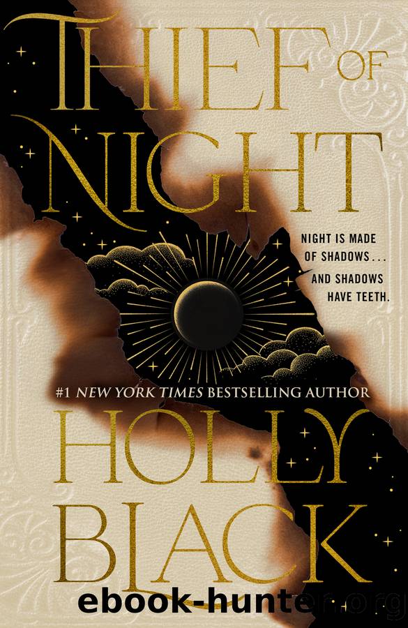 Thief of Night by Holly Black