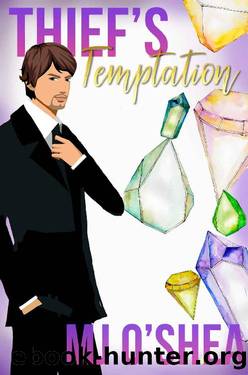 Thief's Temptation (Dangerous Attractions Book 2) by M.J. O'Shea
