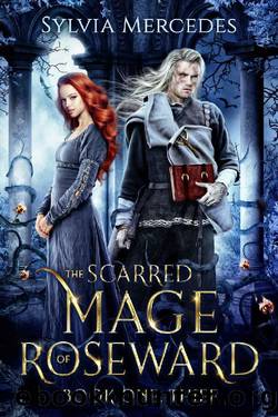 Thief: A Beauty and the Beast Retelling (The Scarred Mage of Roseward Book 1) by Sylvia Mercedes