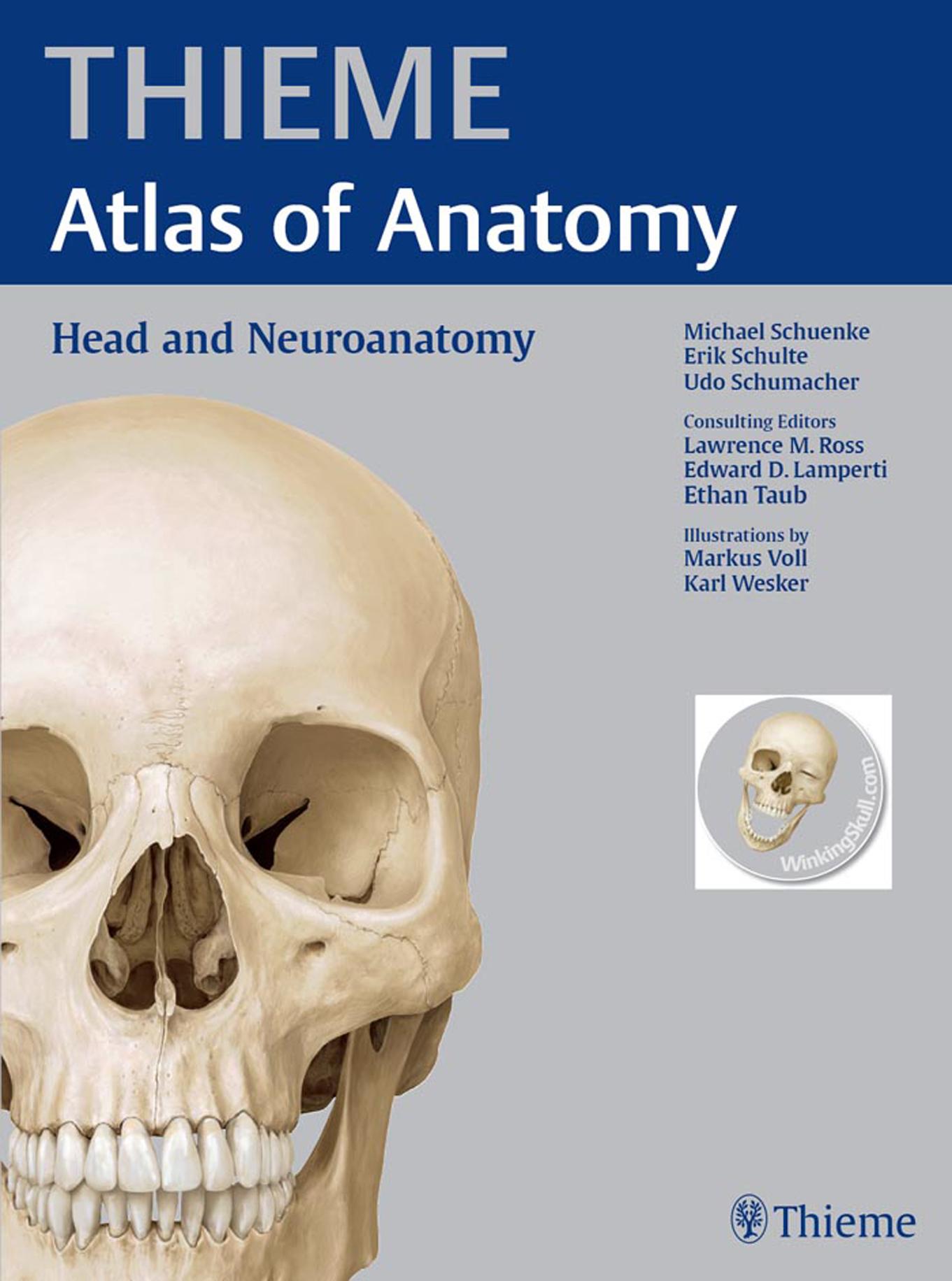 Thieme atlas of anatomy. Head and neuroanatomy by Michael Schuenke Erik Schulte Udo Schumacher Lawrence M Ross Edward D Lamperti Markus Voll
