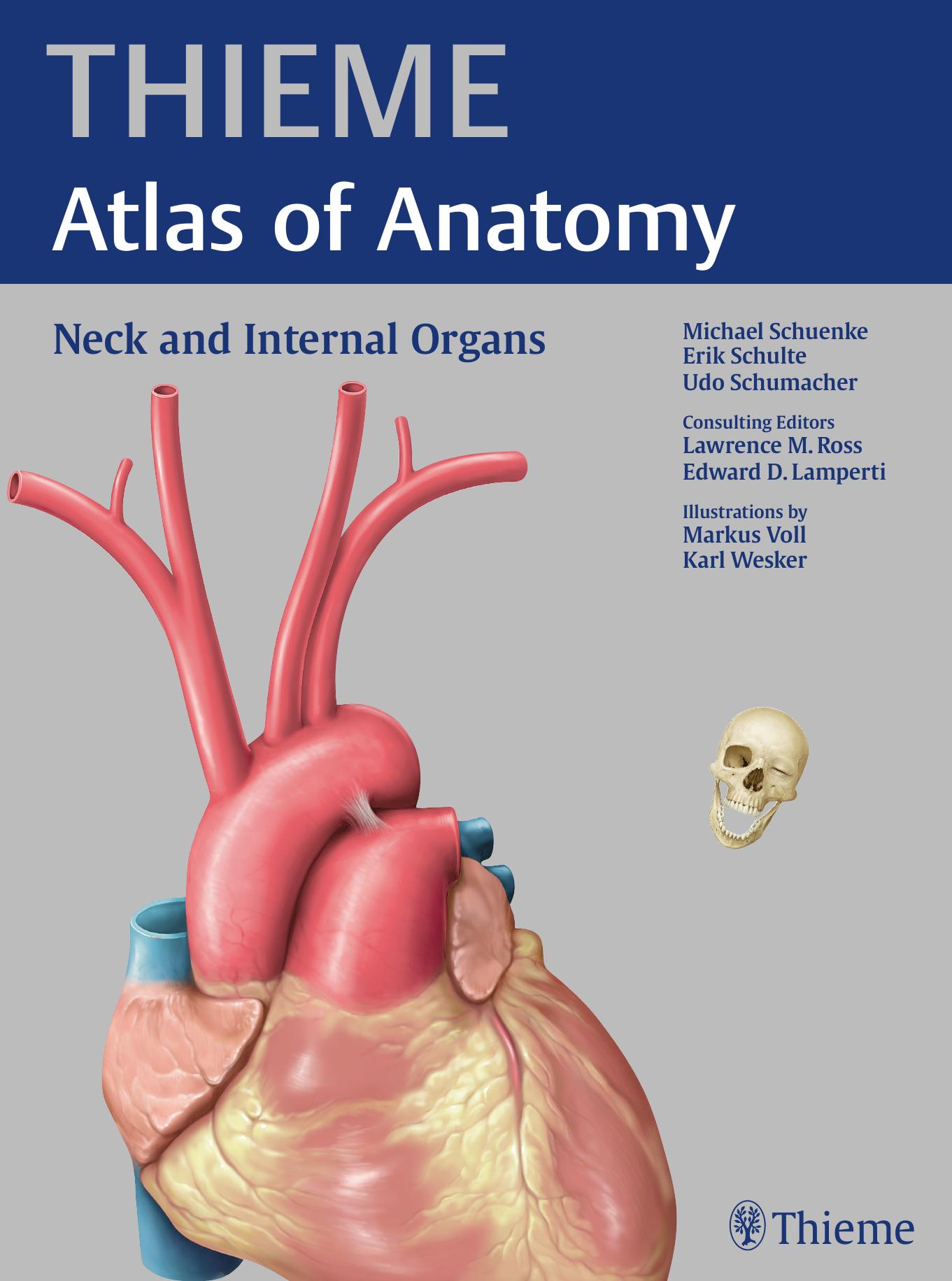 Thieme atlas of anatomy. Neck and internal organs by Michael Schuenke Erik Schulte Udo Schumacher Lawrence M Ross Edward D Lamperti Markus Voll