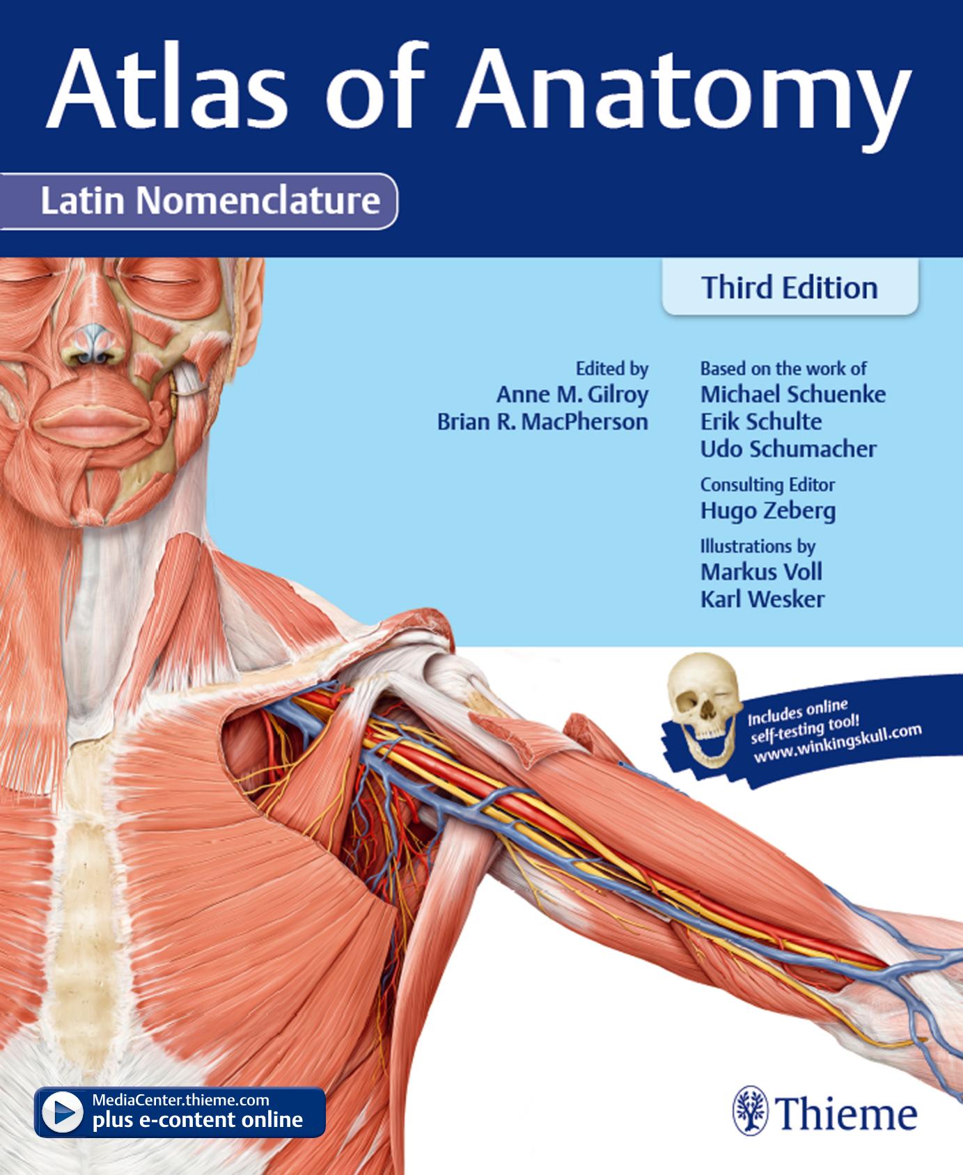 Thieme: Atlas of Anatomy by Gilroy Anne M.; Brian R. MacPherson; Michael Schuenke; a.o