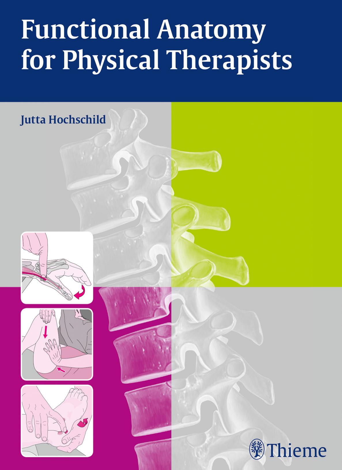 Thieme: Functional Anatomy for Physical Therapists by Hochschild Jutta;