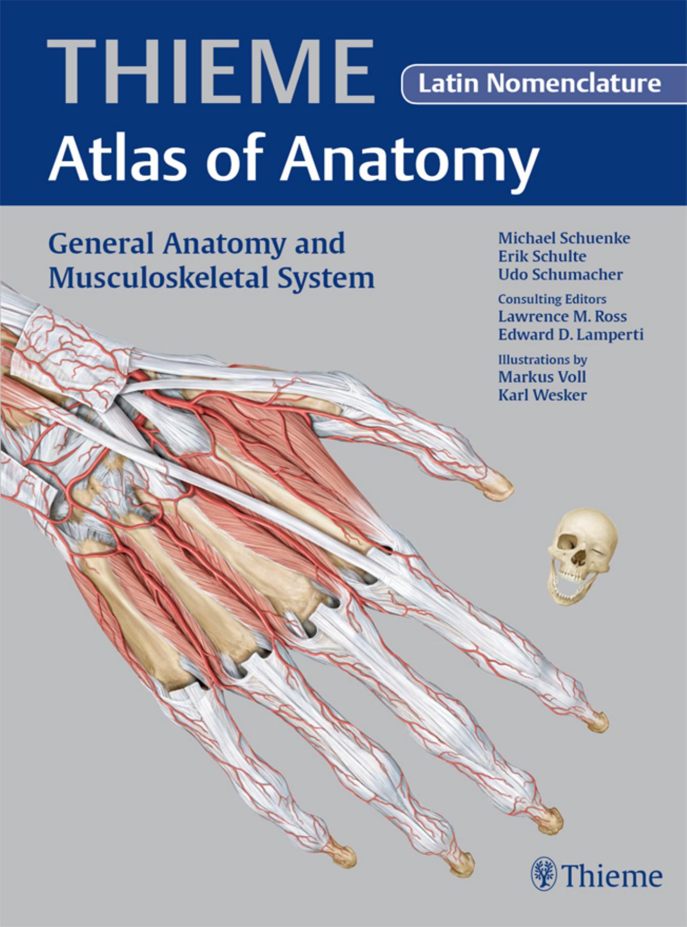 Thieme: Thieme Atlas of Anatomy by Schuenke Michael; Erik Schulte; Udo Schumacher