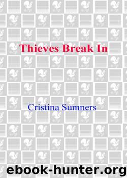 Thieves Break In by Cristina Sumners