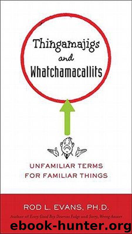 Thingamajigs and Whatchamacallits by Rod L. Evans Ph.D
