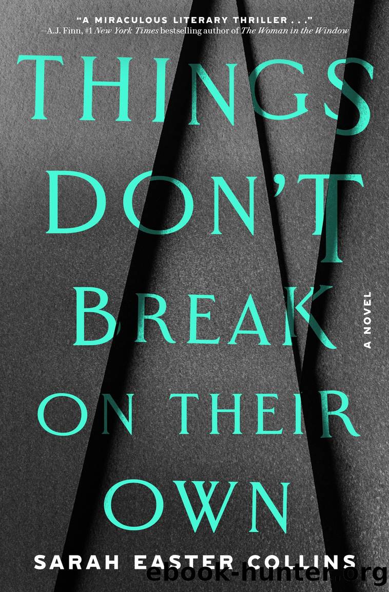 Things Don't Break on Their Own by Sarah Easter Collins