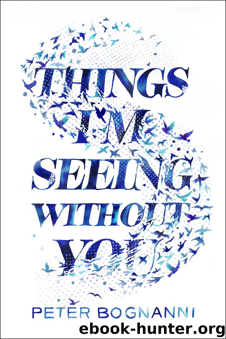 Things I'm Seeing Without You by Peter Bognanni