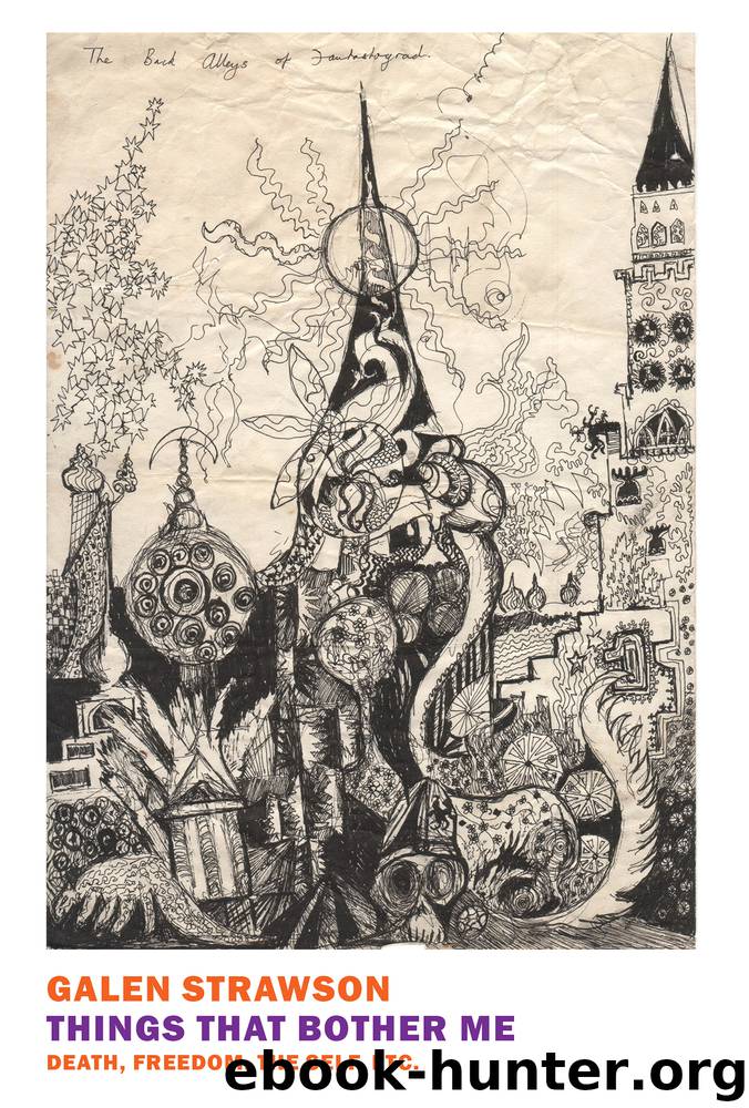 Things That Bother Me by Galen Strawson