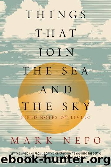 Things That Join the Sea and the Sky by Mark Nepo