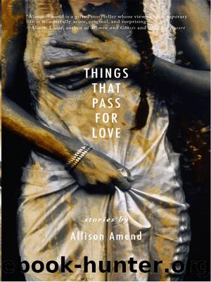 Things That Pass for Love by Allison Amend