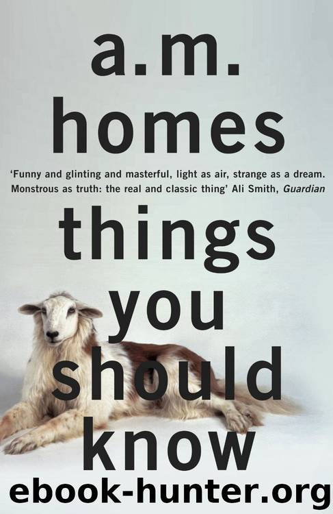 Things You Should Know by A M Homes