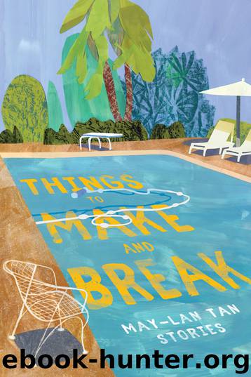 Things to Make and Break by May-Lan Tan