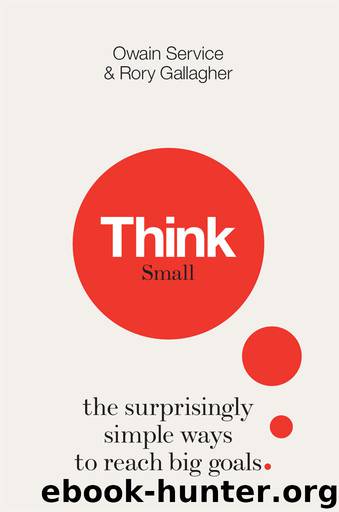 Think Small: The Surprisingly Simple Ways to Reach Big Goals by Owain Service & Rory Gallagher