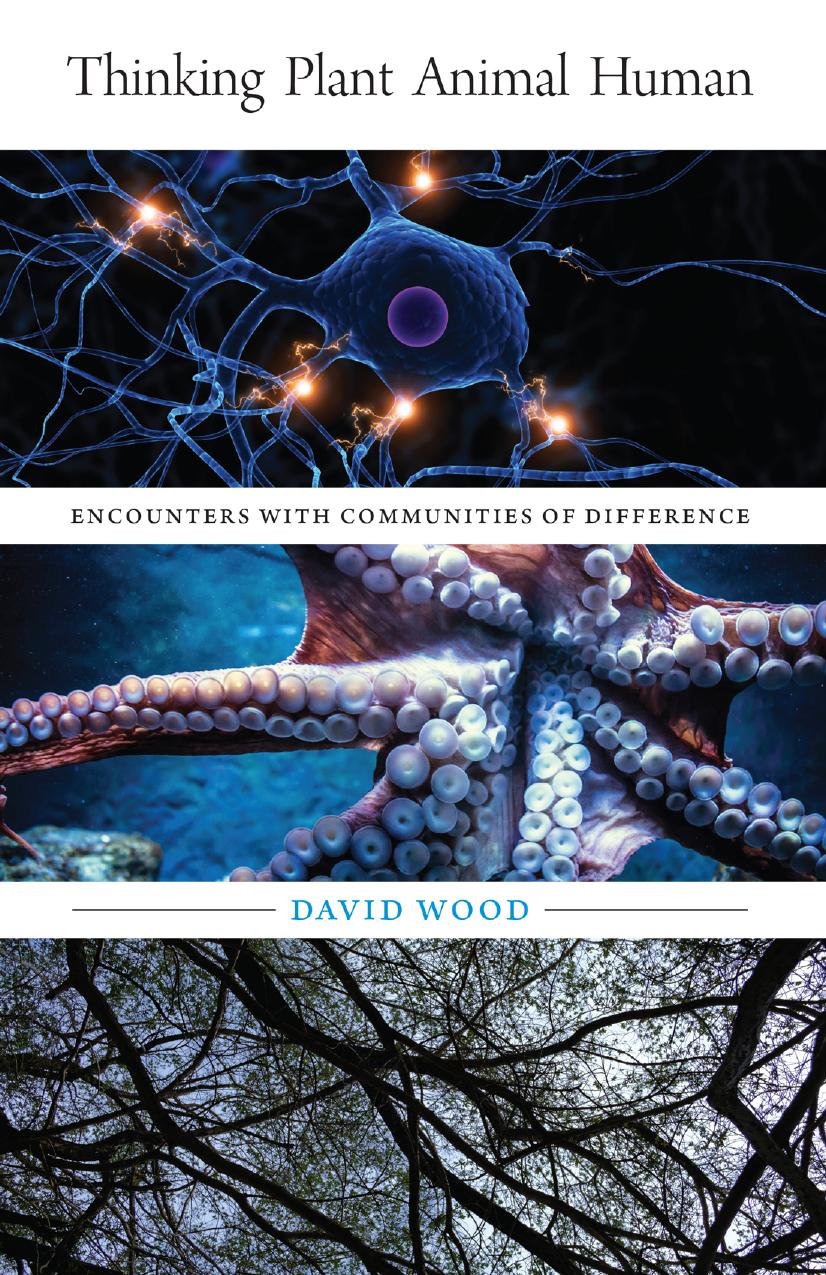 Thinking Plant Animal Human: Encounters with Communities of Difference by David Wood