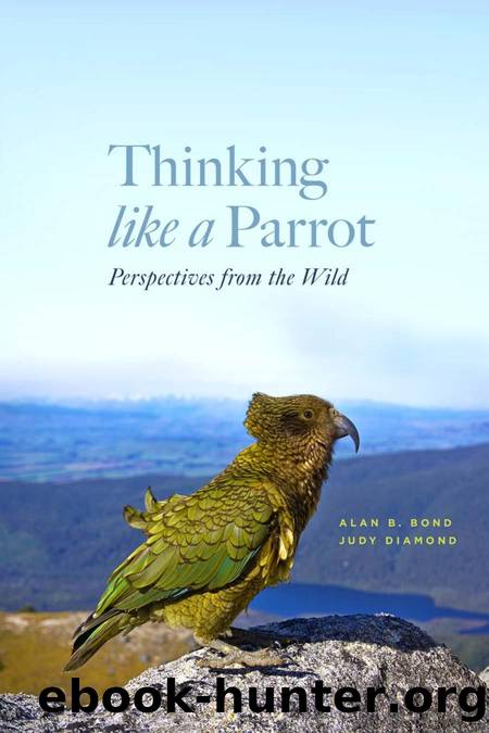 Thinking like a Parrot: Perspectives from the Wild by Alan B. Bond Judy Diamond
