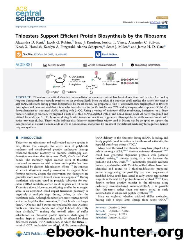 Thioesters Support Efficient Protein Biosynthesis by the Ribosome by unknow
