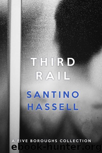 Third Rail: A Five Boroughs Collection by Santino Hassell