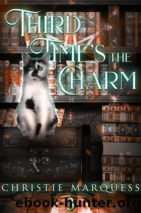 Third Times the Charm (The Provence Mysteries, #3) by Christie Marquess