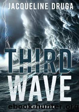 Third Wave: A Global Apocalyptic Disaster by Jacqueline Druga