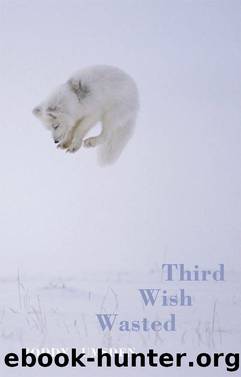 Third Wish Wasted by Roddy Lumsden