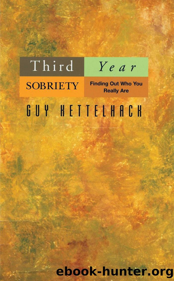 Third Year Sobriety by Guy Kettelhack