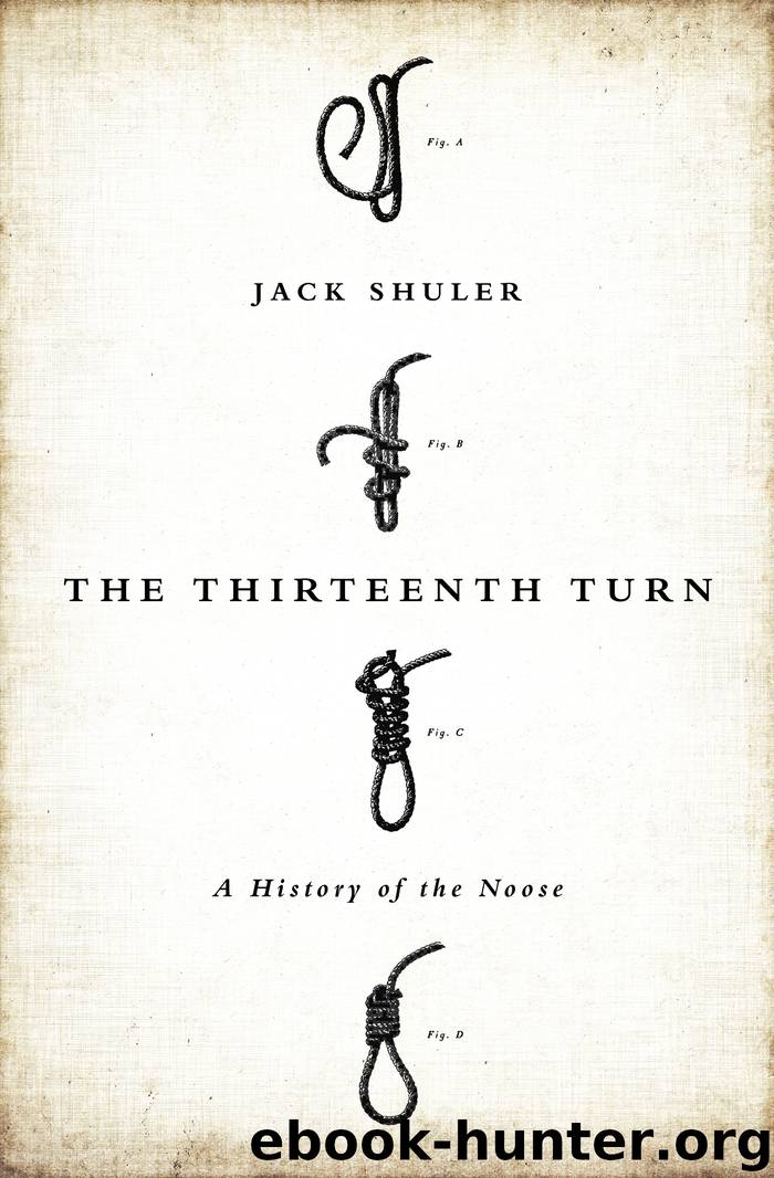 Thirteenth Turn by Shuler Jack;