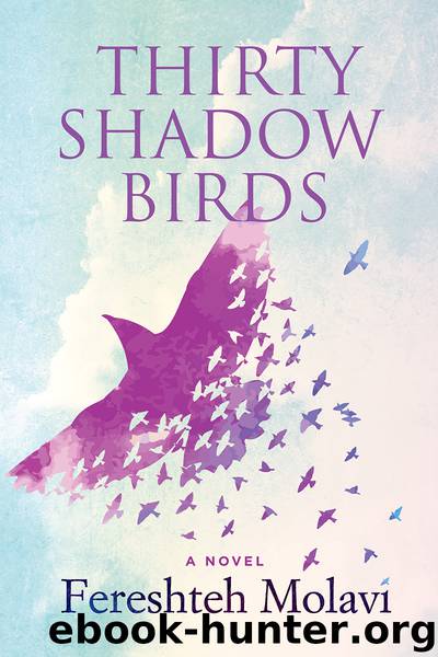 Thirty Shadow Birds by Fereshteh Molavi