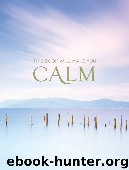 This Book Will Make You Calm by Summersdale Publishers