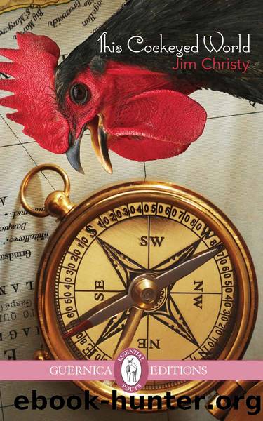 This Cockeyed World by Jim Christy