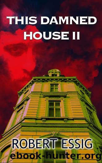 This Damned House II by Essig Robert