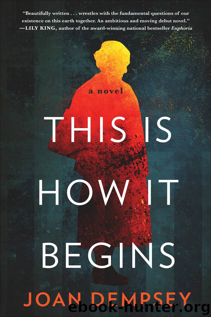 This Is How It Begins by Joan Dempsey