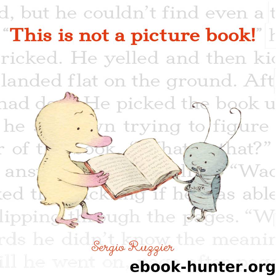 This Is Not a Picture Book! by Sergio Ruzzier