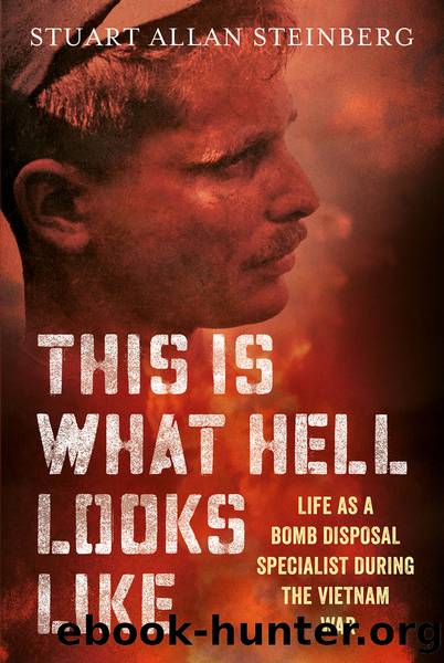 This Is What Hell Looks Like by Stuart Allan Streinberg