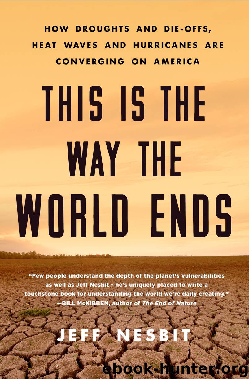 This Is the Way the World Ends by Jeff Nesbit