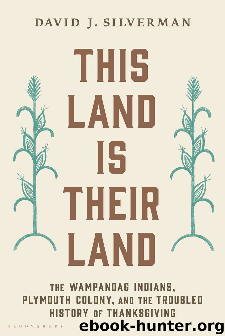 This Land Is Their Land by David J. Silverman