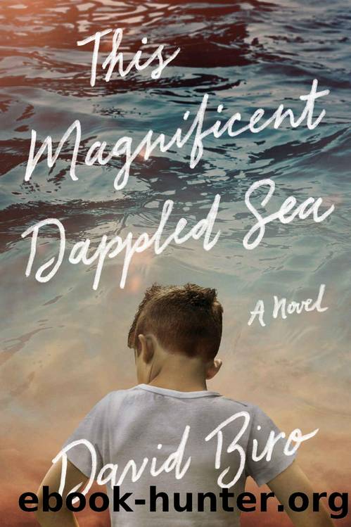 This Magnificent Dappled Sea: A Novel by David Biro