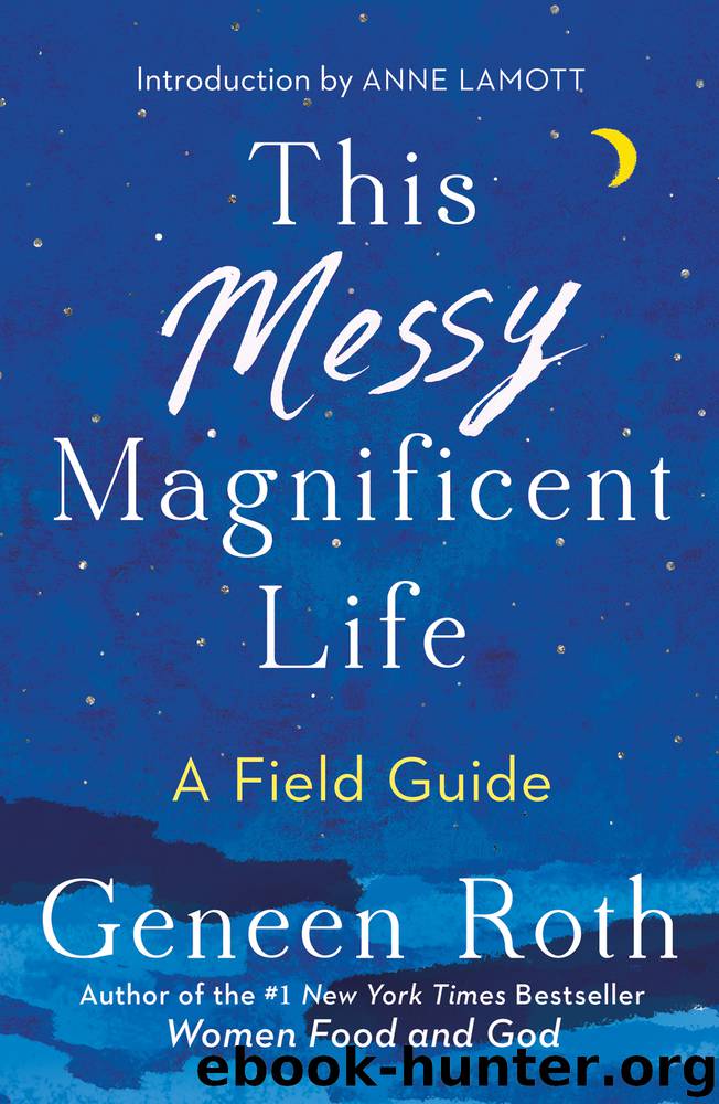 This Messy Magnificent Life by Geneen Roth