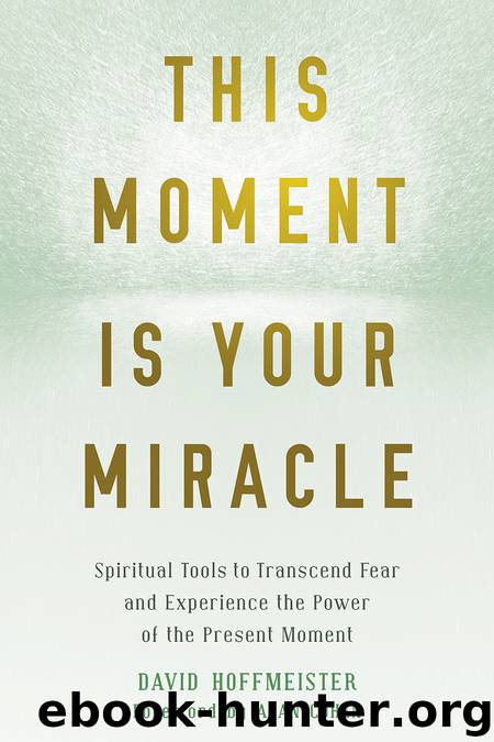 This Moment Is Your Miracle by David Hoffmeister