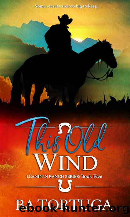 This Old Wind (Leanin' N Book 5) by BA Tortuga