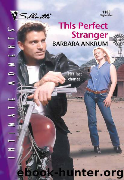 This Perfect Stranger by Barbara Ankrum
