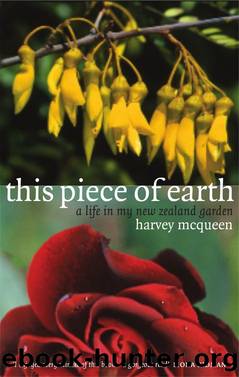 This Piece of Earth by Harvey McQueen