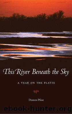 This River Beneath the Sky by Doreen Pfost