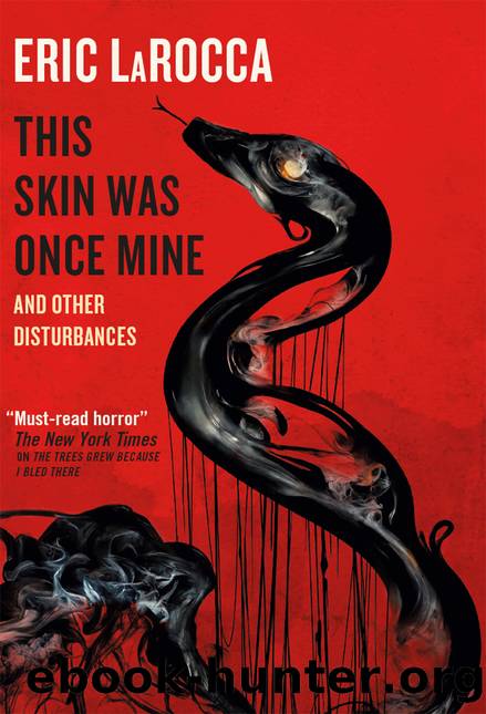 This Skin Was Once Mine and Other Disturbances by Eric LaRocca