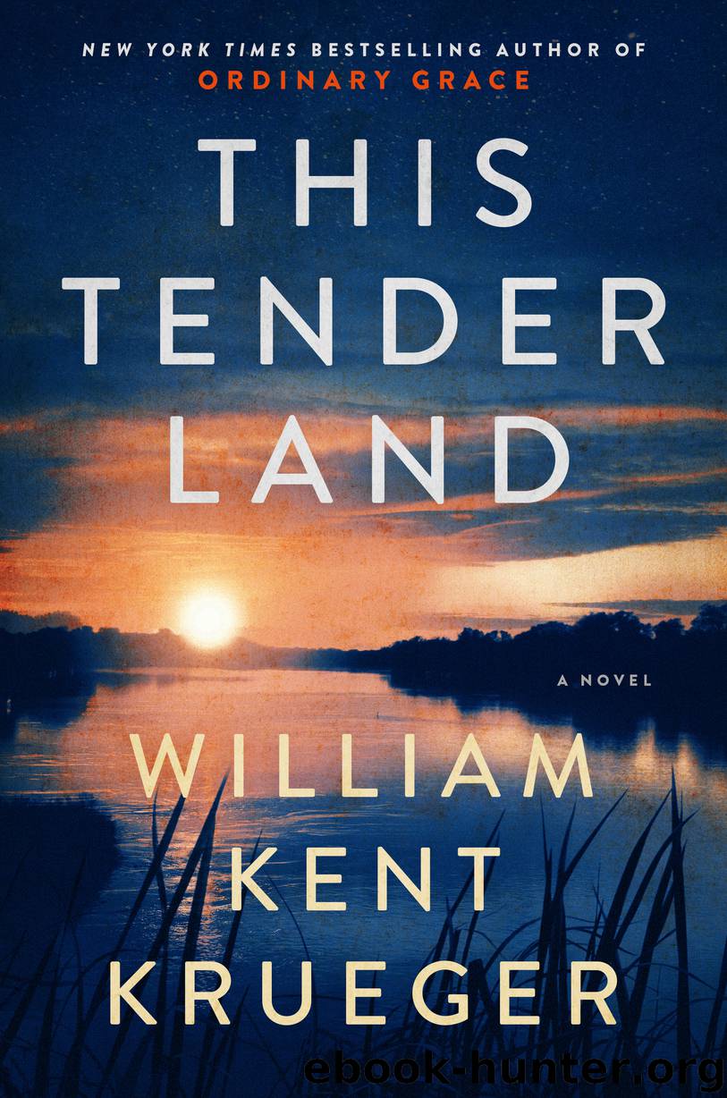 this tender land goodreads this tender land goodreads